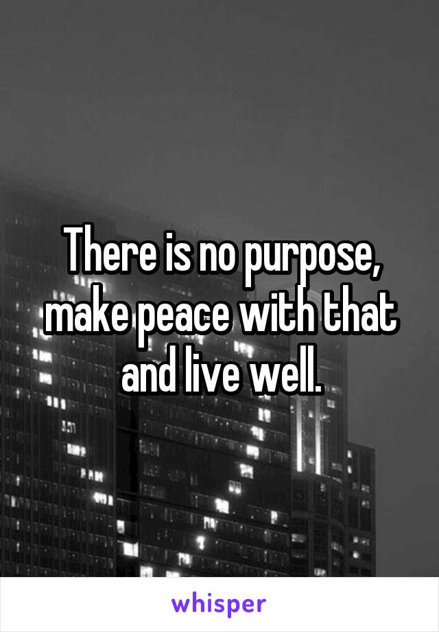 There is no purpose, make peace with that and live well.