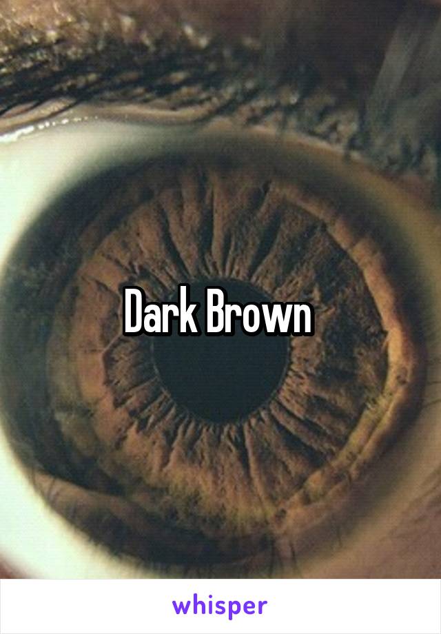 Dark Brown 