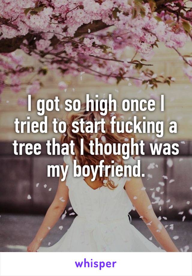 I got so high once I tried to start fucking a tree that I thought was my boyfriend.