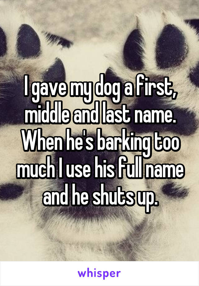 I gave my dog a first, middle and last name.
When he's barking too much I use his full name and he shuts up.
