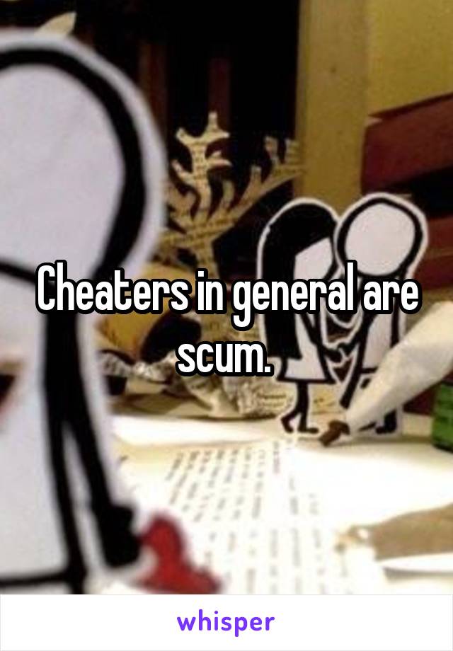 Cheaters in general are scum. 