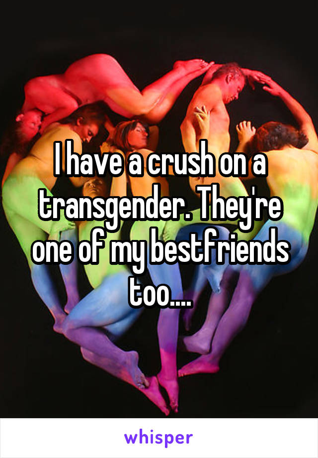 I have a crush on a transgender. They're one of my bestfriends too....