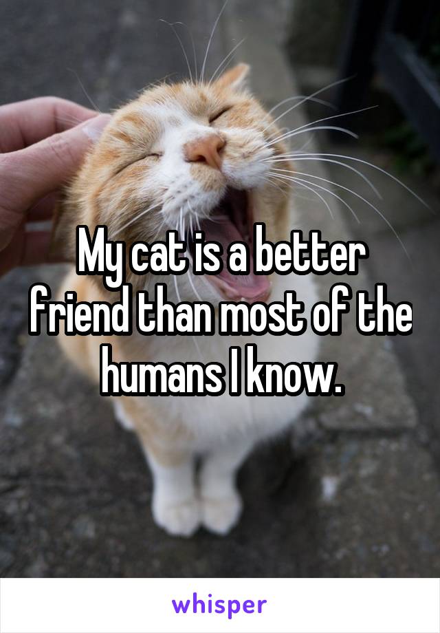 My cat is a better friend than most of the humans I know.