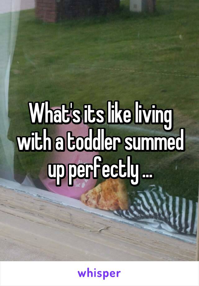 What's its like living with a toddler summed up perfectly ...