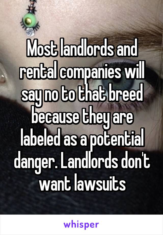 Most landlords and rental companies will say no to that breed because they are labeled as a potential danger. Landlords don't want lawsuits