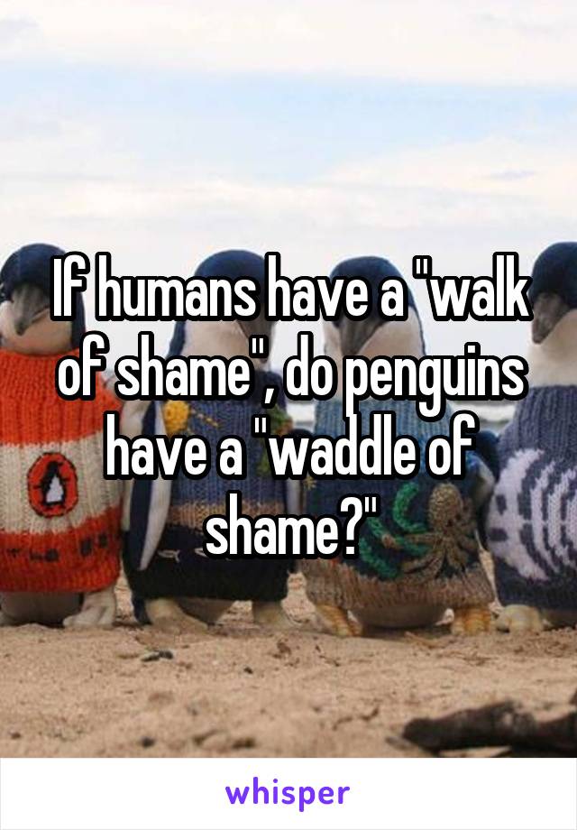 If humans have a "walk of shame", do penguins have a "waddle of shame?"