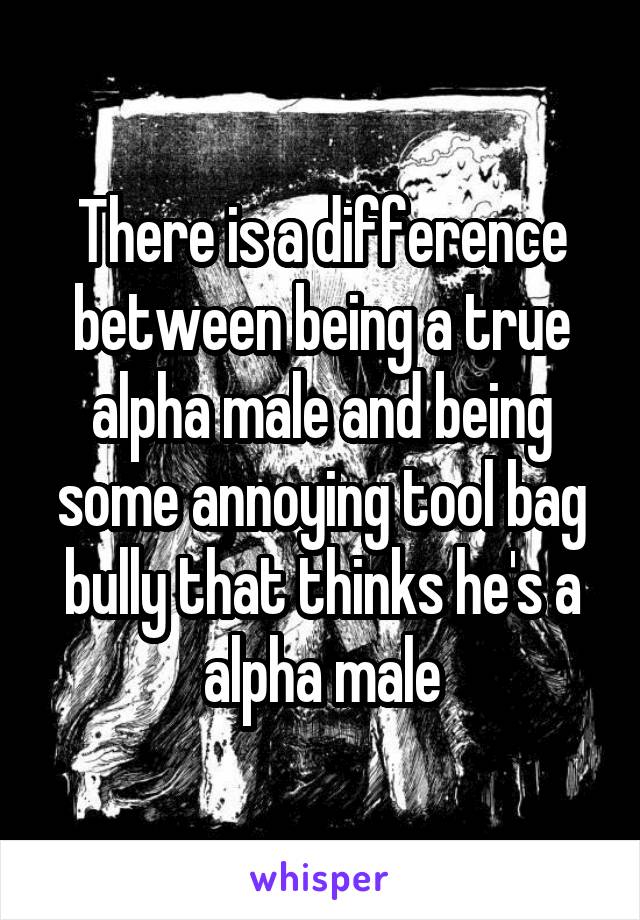 There is a difference between being a true alpha male and being some annoying tool bag bully that thinks he's a alpha male