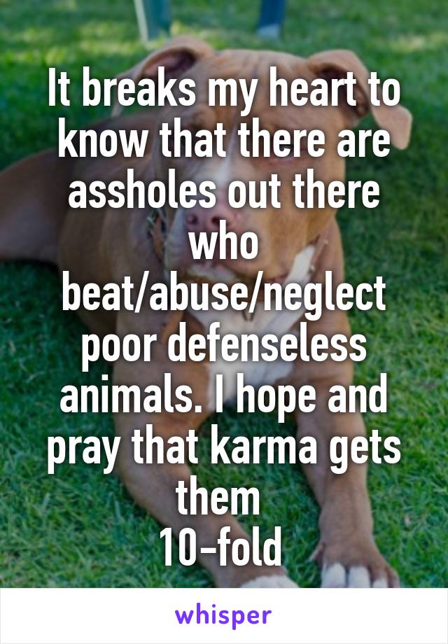 It breaks my heart to know that there are assholes out there who beat/abuse/neglect poor defenseless animals. I hope and pray that karma gets them 
10-fold 