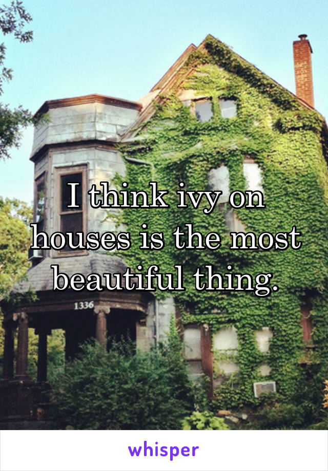 I think ivy on houses is the most beautiful thing.