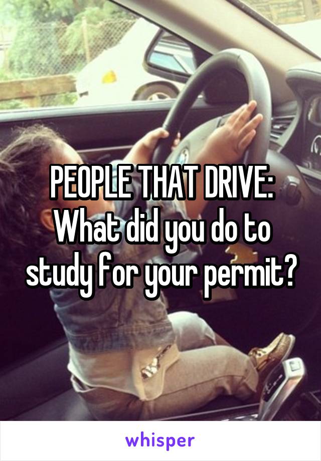PEOPLE THAT DRIVE:
What did you do to study for your permit?