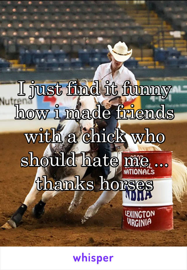 I just find it funny how i made friends with a chick who should hate me ... thanks horses