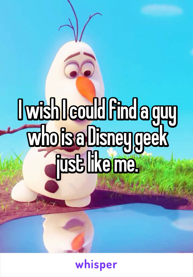 I wish I could find a guy who is a Disney geek just like me.