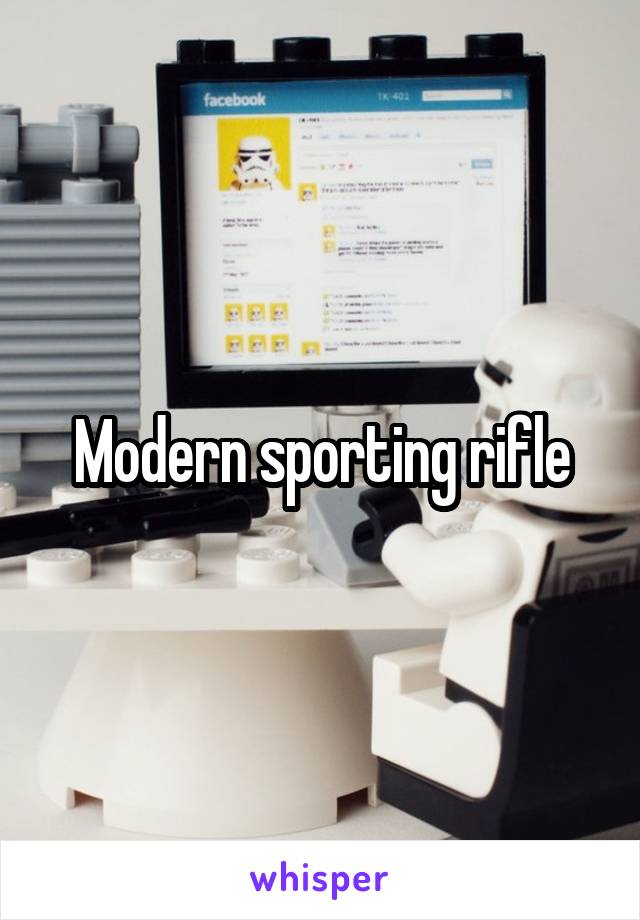 Modern sporting rifle