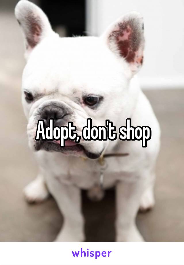Adopt, don't shop
