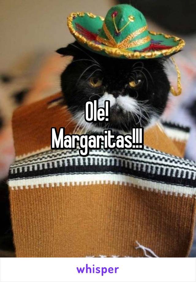 Ole! 
Margaritas!!! 
