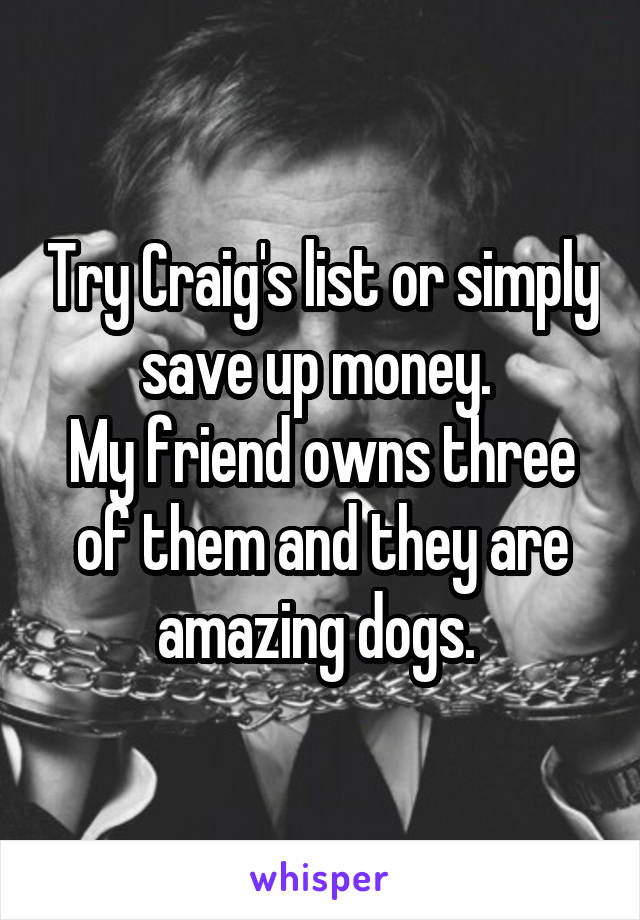 Try Craig's list or simply save up money. 
My friend owns three of them and they are amazing dogs. 