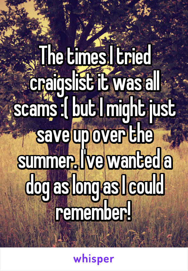 The times I tried craigslist it was all scams :( but I might just save up over the summer. I've wanted a dog as long as I could remember! 