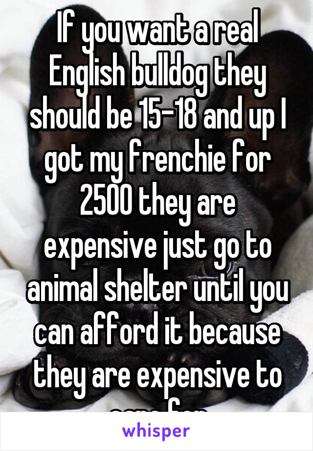 If you want a real English bulldog they should be 15-18 and up I got my frenchie for 2500 they are expensive just go to animal shelter until you can afford it because they are expensive to care for