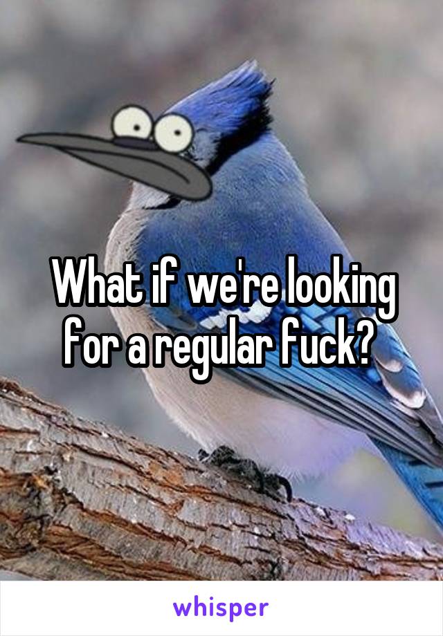 What if we're looking for a regular fuck? 