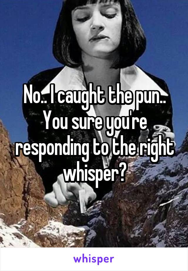 No.. I caught the pun.. You sure you're responding to the right whisper?