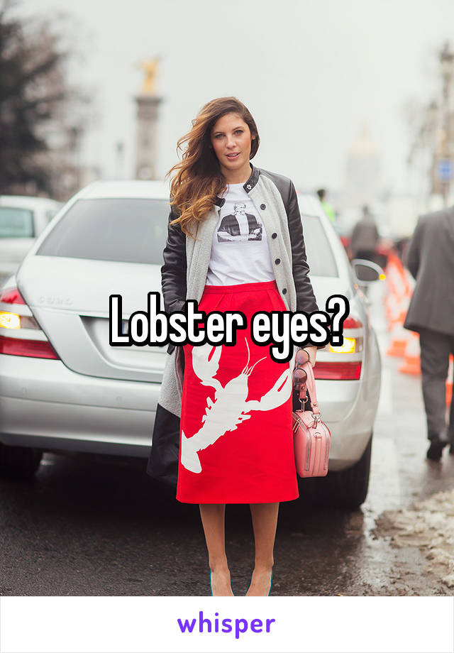 Lobster eyes?