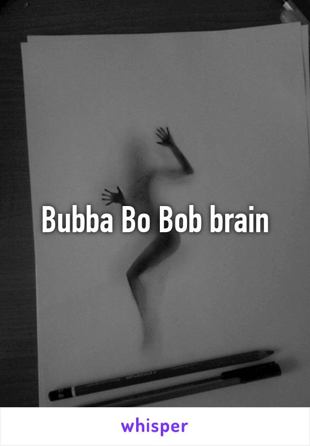 Bubba Bo Bob brain