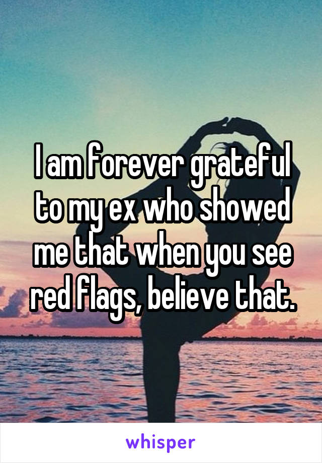 I am forever grateful to my ex who showed me that when you see red flags, believe that.