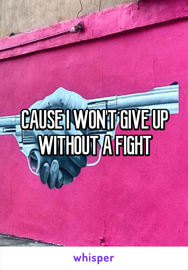 CAUSE I WON'T GIVE UP WITHOUT A FIGHT