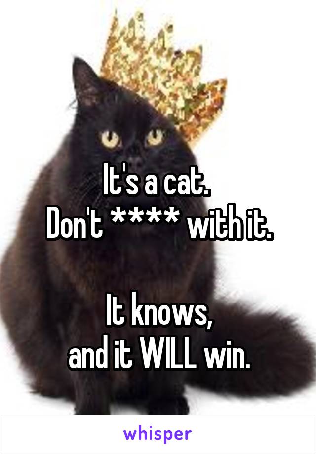 

It's a cat. 
Don't **** with it.

It knows,
and it WILL win.