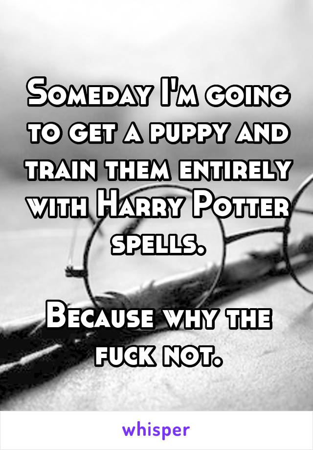 Someday I'm going to get a puppy and train them entirely with Harry Potter spells.

Because why the fuck not.