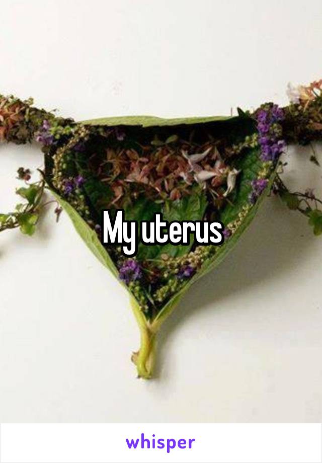 My uterus