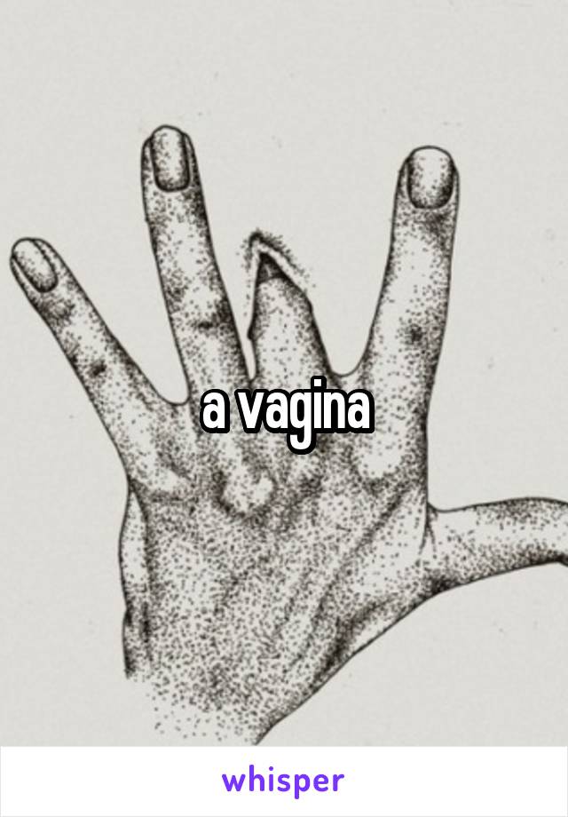 a vagina
