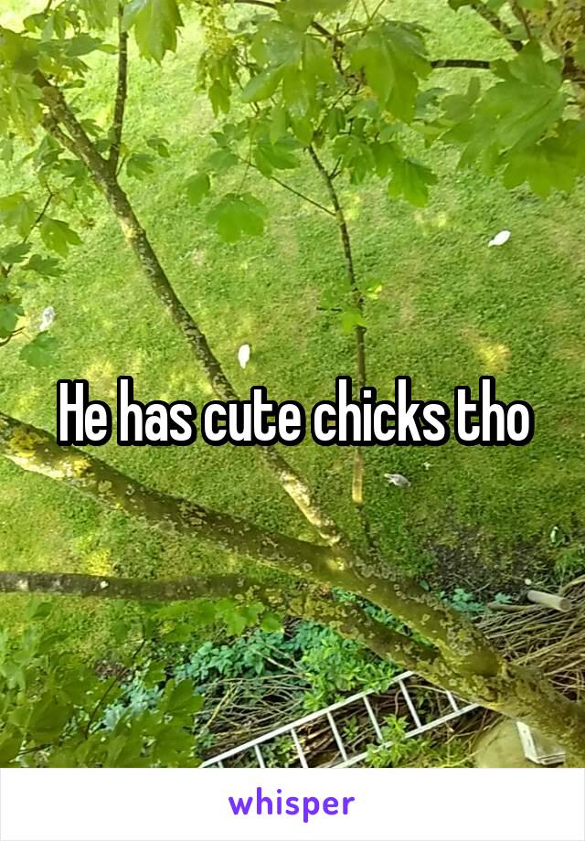 He has cute chicks tho