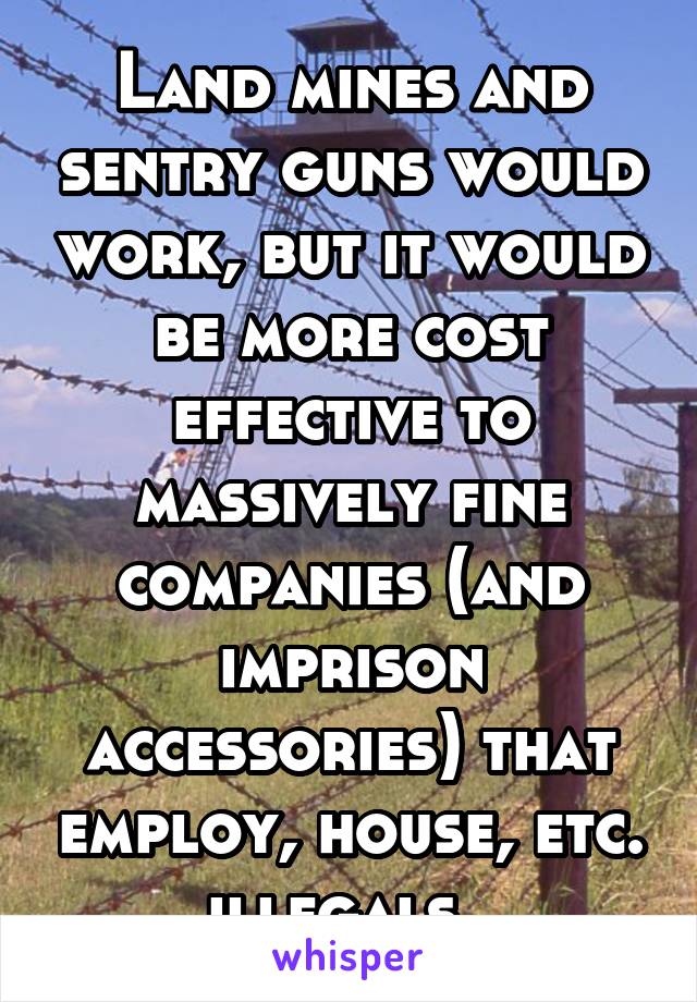 Land mines and sentry guns would work, but it would be more cost effective to massively fine companies (and imprison accessories) that employ, house, etc. illegals. 
