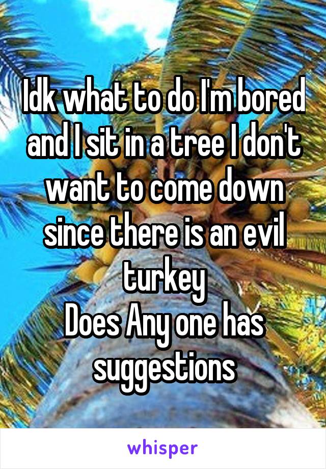 Idk what to do I'm bored and I sit in a tree I don't want to come down since there is an evil turkey
Does Any one has suggestions