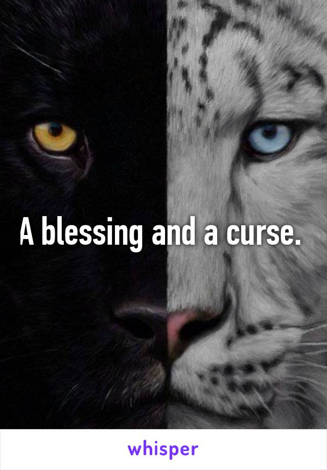 A blessing and a curse. 