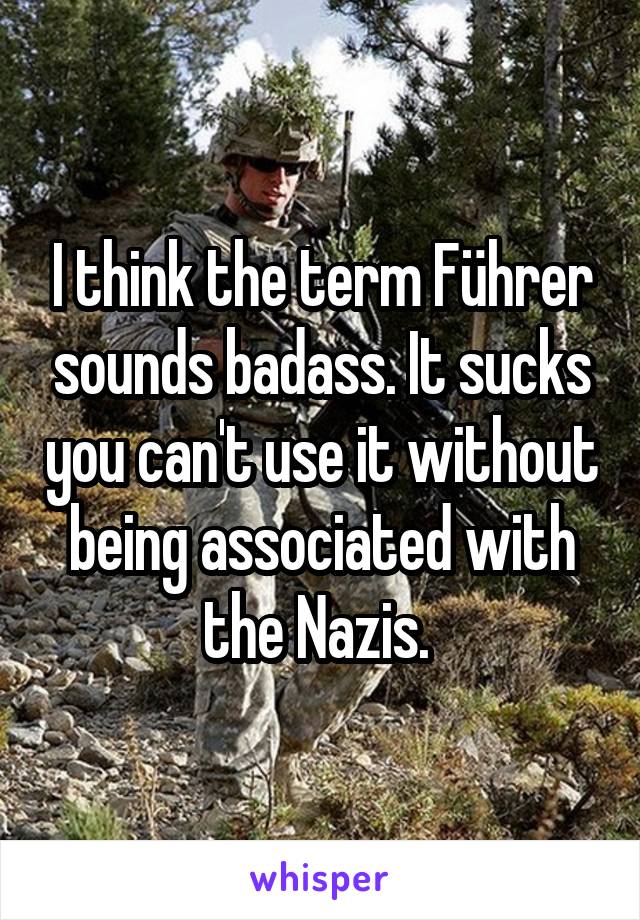 I think the term Führer sounds badass. It sucks you can't use it without being associated with the Nazis. 