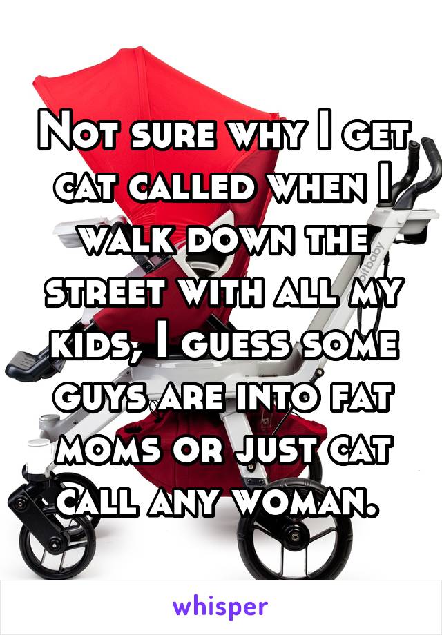 Not sure why I get cat called when I walk down the street with all my kids, I guess some guys are into fat moms or just cat call any woman. 