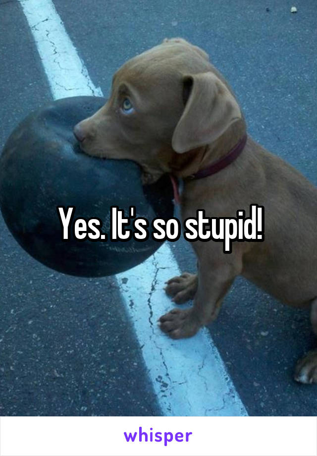 Yes. It's so stupid!