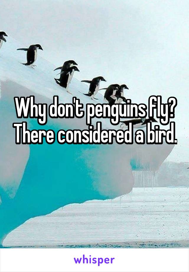 Why don't penguins fly? There considered a bird. 