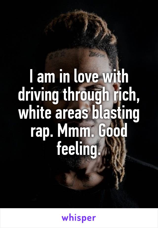 I am in love with driving through rich, white areas blasting rap. Mmm. Good feeling.