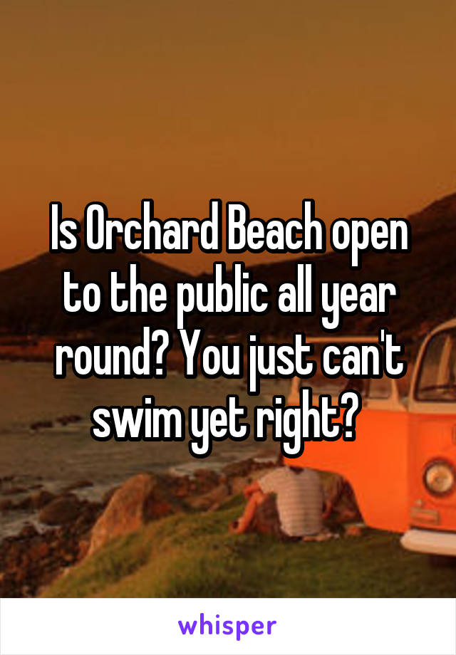 Is Orchard Beach open to the public all year round? You just can't swim yet right? 