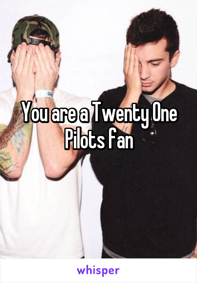 You are a Twenty One Pilots fan
