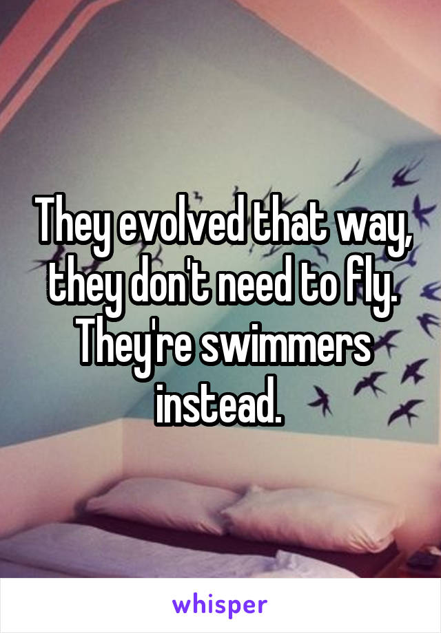They evolved that way, they don't need to fly. They're swimmers instead. 