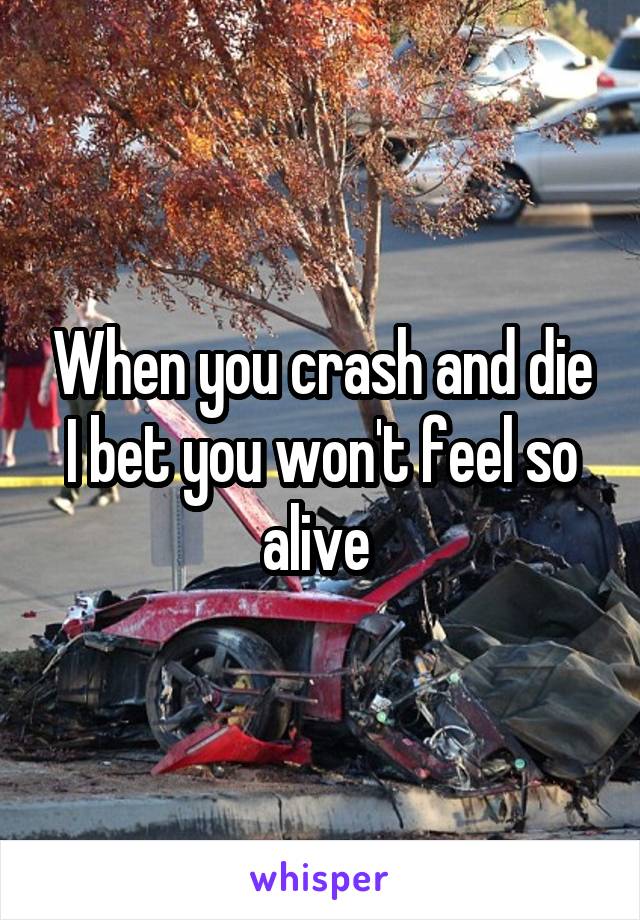 When you crash and die I bet you won't feel so alive 