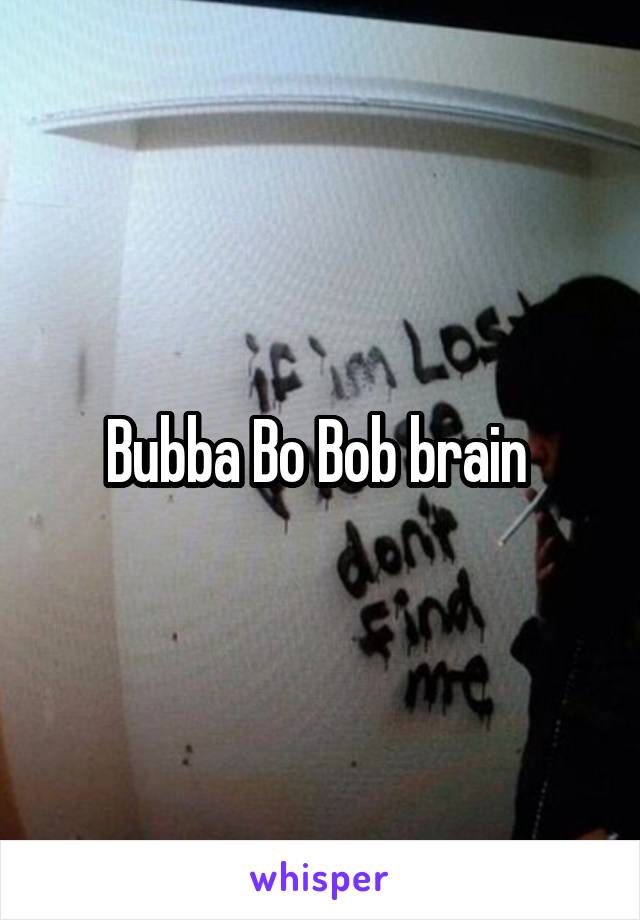 Bubba Bo Bob brain 