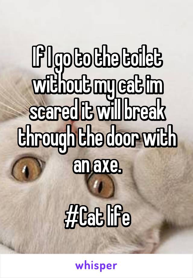 If I go to the toilet without my cat im scared it will break through the door with an axe.

#Cat life