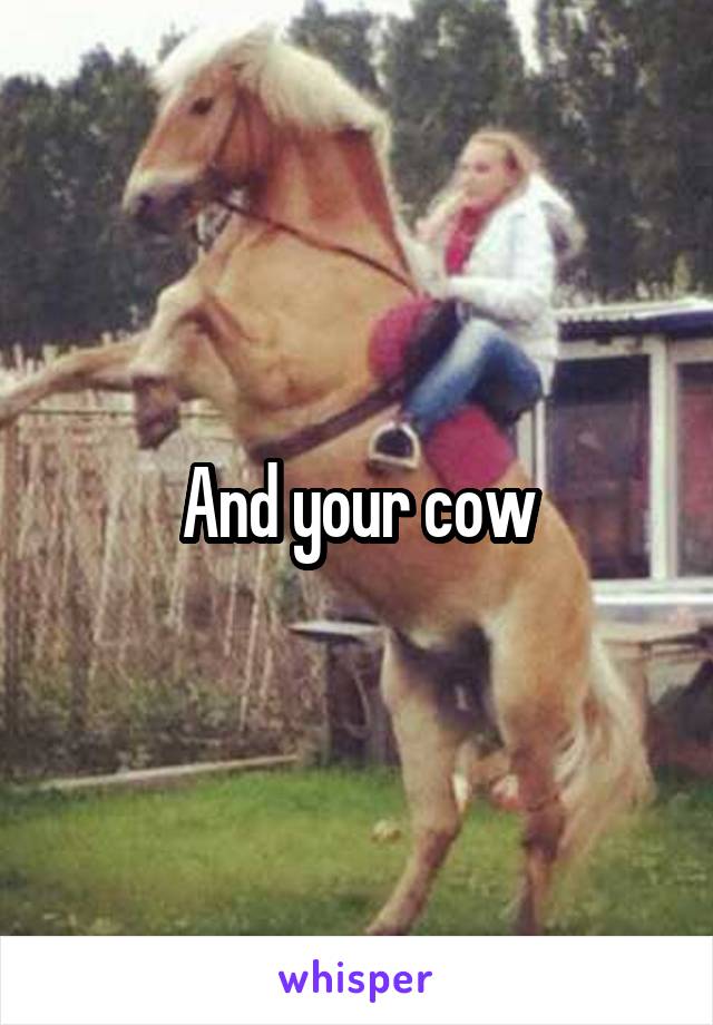 And your cow