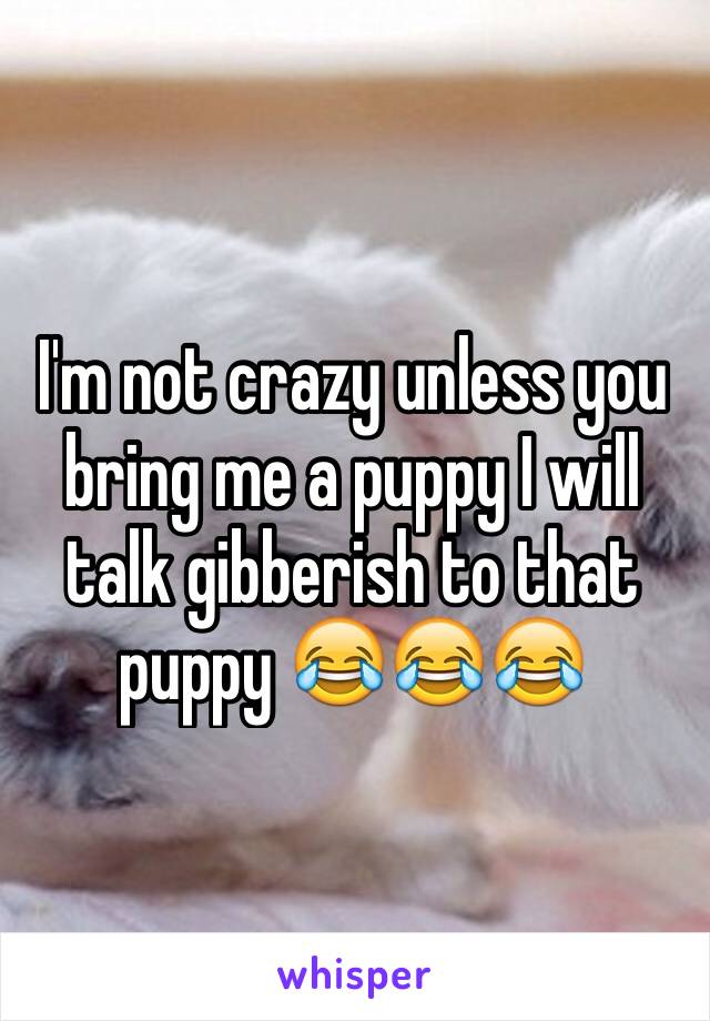 I'm not crazy unless you bring me a puppy I will talk gibberish to that puppy 😂😂😂