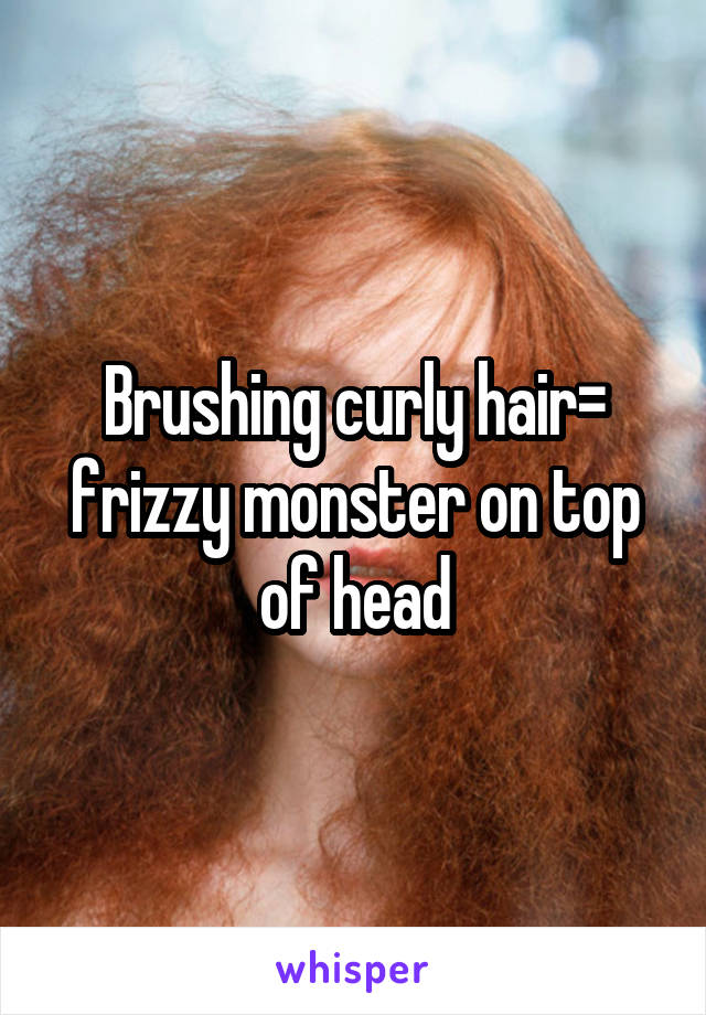 Brushing curly hair= frizzy monster on top of head